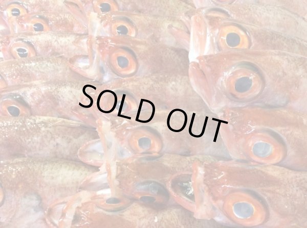 画像5: のどぐろ炙り丼【75ｇ個食タイプ】 (5)