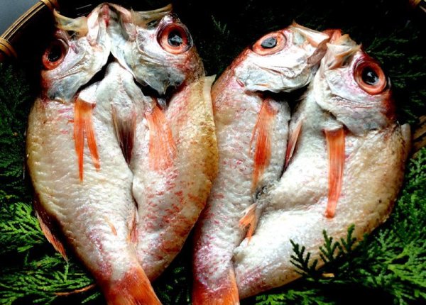 画像4: のどぐろ【アカムツ】一夜干し「ほろ酔い美人」×2枚 (4)