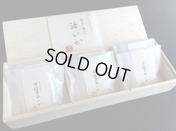 画像2: 「透き通る活いか」【須佐男命いか・３D冷凍・胴のみ】 (2)