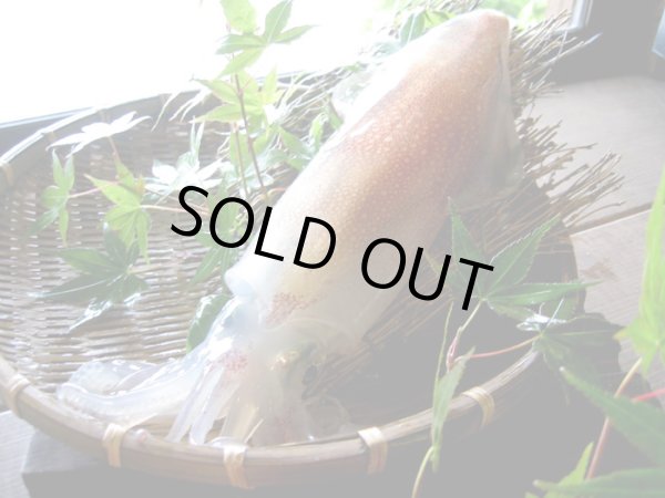 画像5: 2026年御節「海鮮しゃぶしゃぶセットと友禅和紙二段小箱おせち」【送料無料】限定10個 (5)