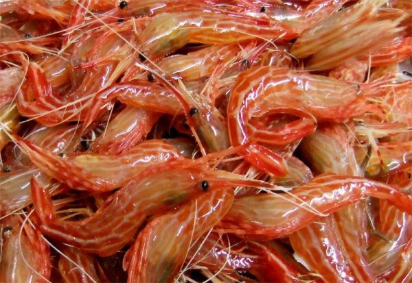 画像4: 2026年御節「海鮮しゃぶしゃぶセットと友禅和紙二段小箱おせち」【送料無料】限定10個 (4)