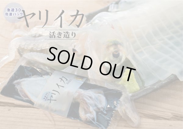 画像1: ヤリイカ姿造り３D冷凍パック (1)