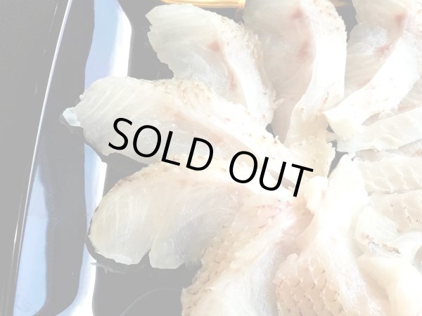 画像5: 【2025年末限定】海鮮しゃぶしゃぶ豪華三種セット  〜炙りのどぐろ・剣先イカ霜造り・萩産モロトゲアカエビ／海鮮だし付き〜 (5)