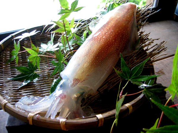 画像3: 【2025年末限定】海鮮しゃぶしゃぶ豪華三種セット  〜炙りのどぐろ・剣先イカ霜造り・萩産モロトゲアカエビ／海鮮だし付き〜 (3)