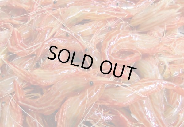 画像4: 【2025年末限定】海鮮しゃぶしゃぶ豪華三種セット  〜炙りのどぐろ・剣先イカ霜造り・萩産モロトゲアカエビ／海鮮だし付き〜 (4)