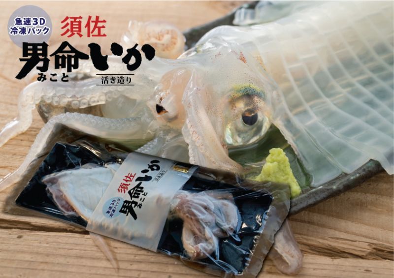 須佐男命いか３d冷凍パック 高鮮度なケンサキイカ活き造り 刺身 の特殊急速冷凍を自宅に通販