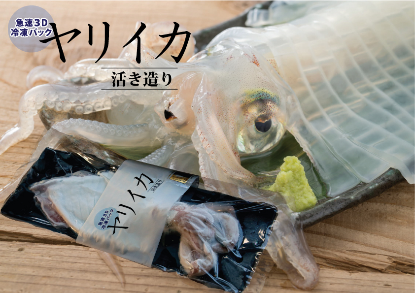 ヤリイカ姿造り３D冷凍パック
